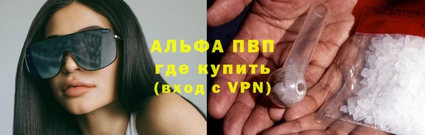 дживик Аркадак