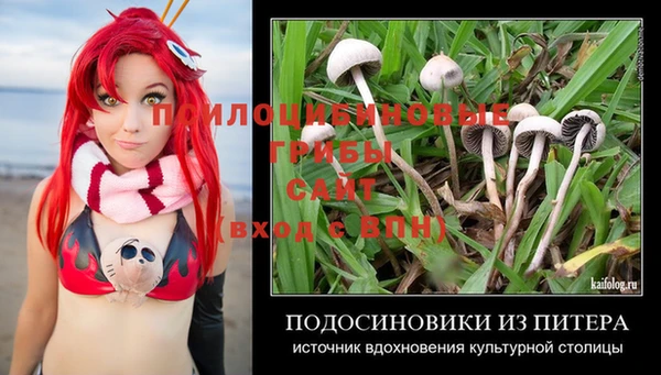 амф Арсеньев