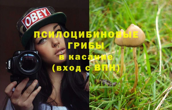 амф Арсеньев