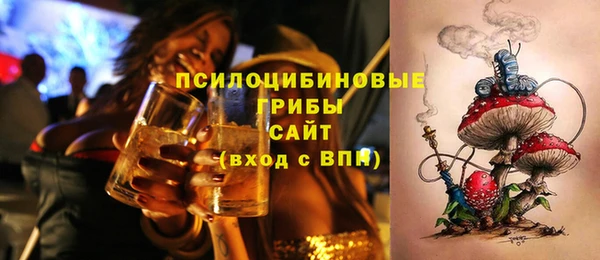 дживик Аркадак