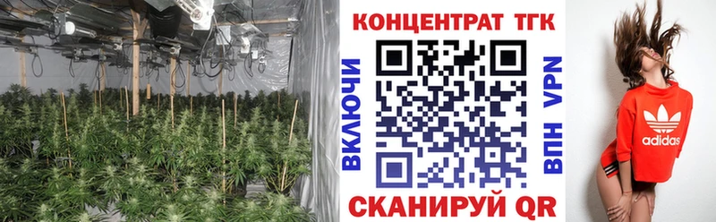 ТГК концентрат  Удачный 