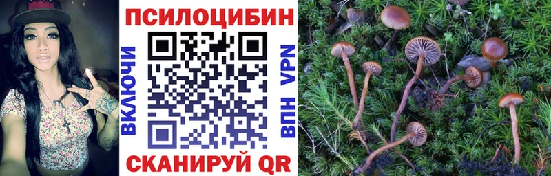 где можно купить   Удачный  Галлюциногенные грибы прущие грибы 