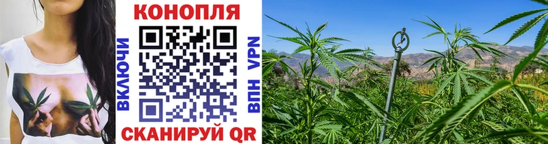 Бошки Шишки SATIVA & INDICA  где найти   Удачный 